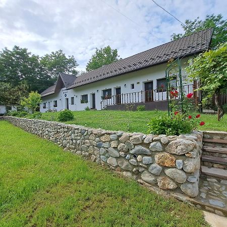 Villa Casa Morii Ohaba Esterno foto