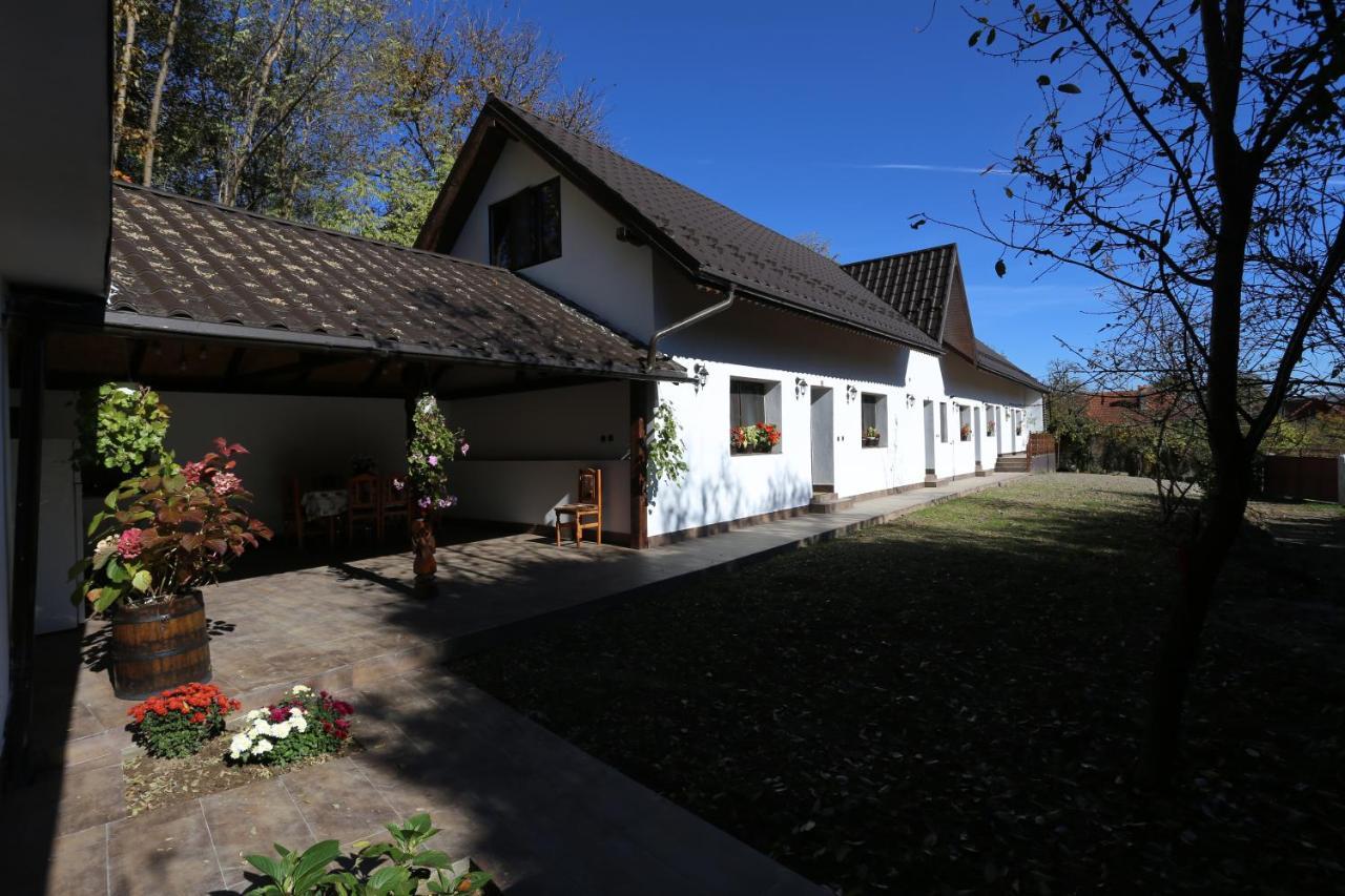 Villa Casa Morii Ohaba Esterno foto