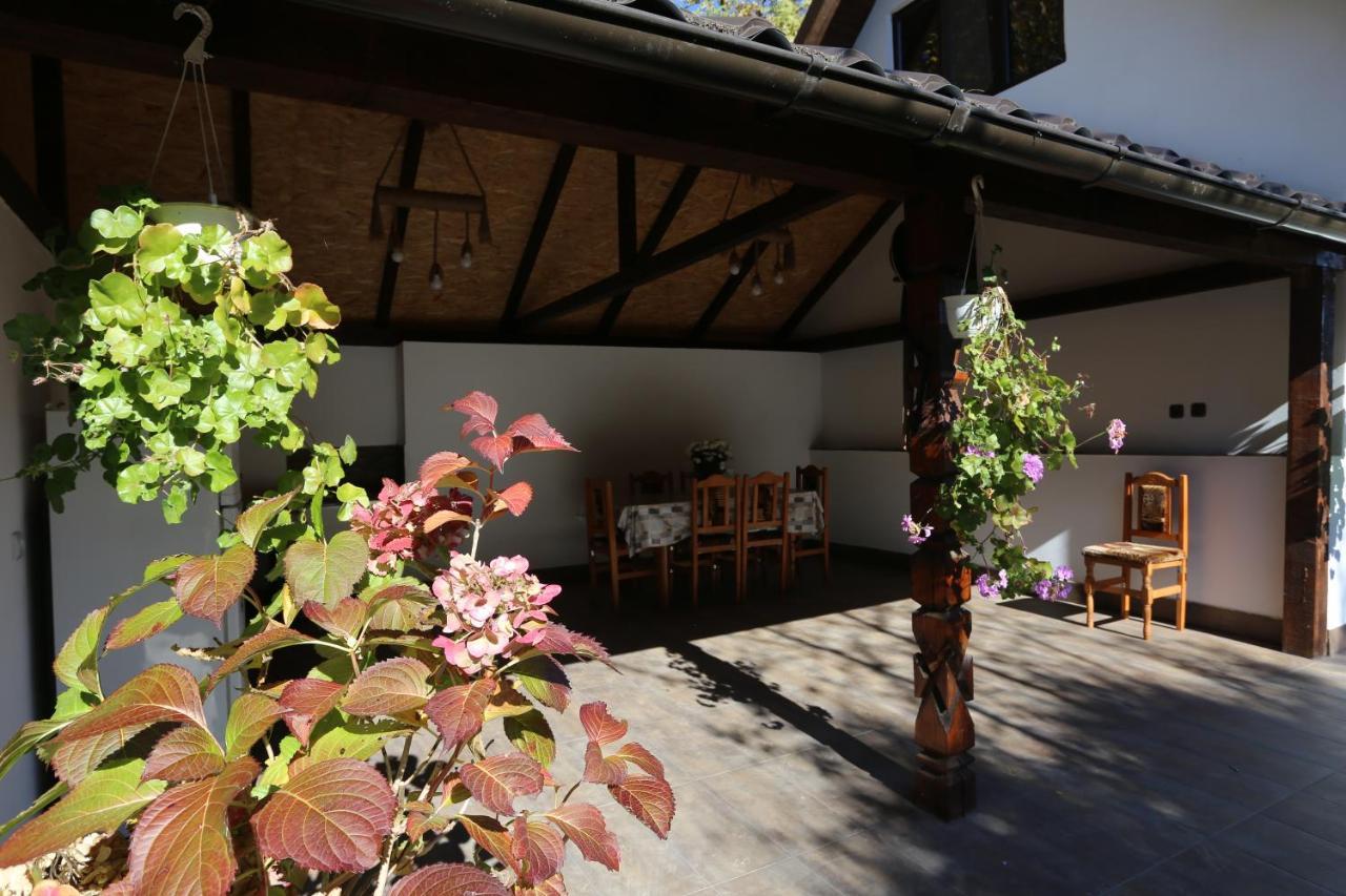 Villa Casa Morii Ohaba Esterno foto