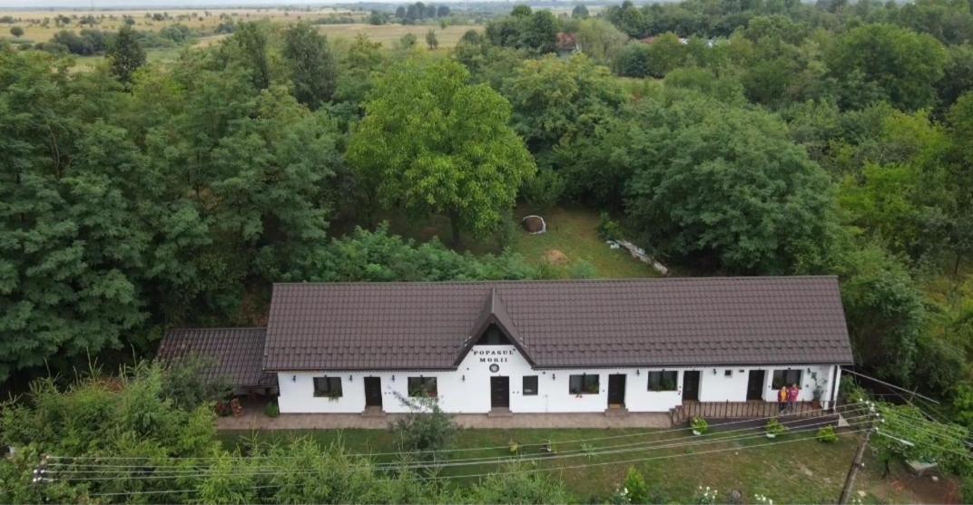 Villa Casa Morii Ohaba Esterno foto