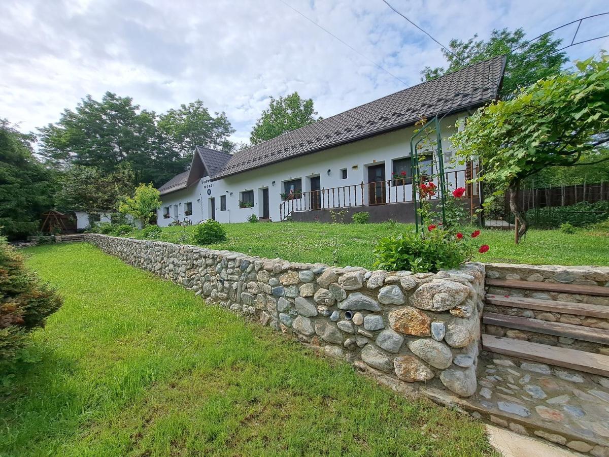 Villa Casa Morii Ohaba Esterno foto